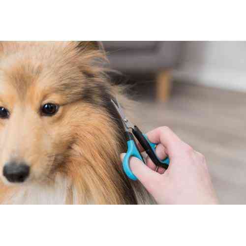 Ножницы Trixie для морды и лап, с закругленными концами, 8 см Киев