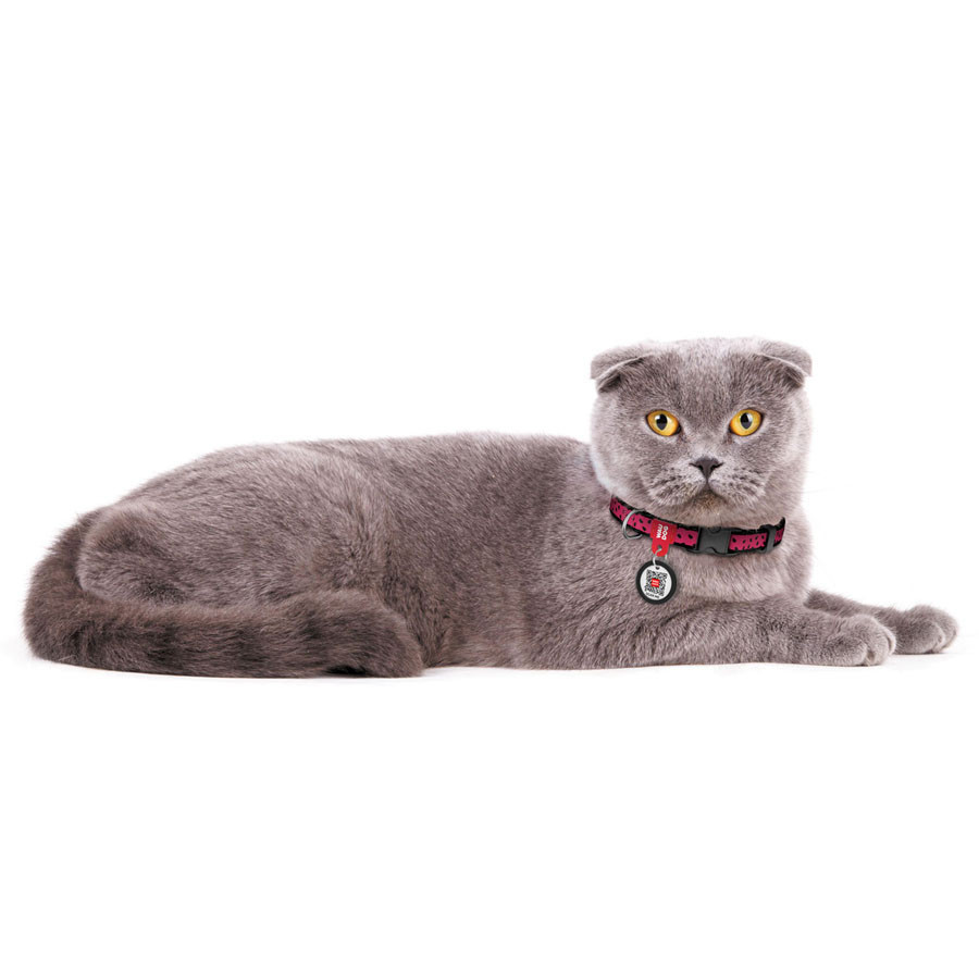 Нашийник для собак нейлоновий WAUDOG Nylon з QR-паспортом, малюнок "Арбуз", пластиковий фастекс, Ш 10 мм, Дл Вінниця - фото 3