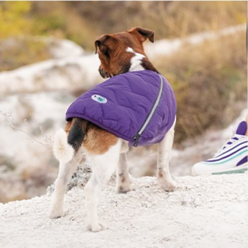 Жилет Pet Fashion E.Vest для собак фиолетовый XS-2 Киев - изображение 5