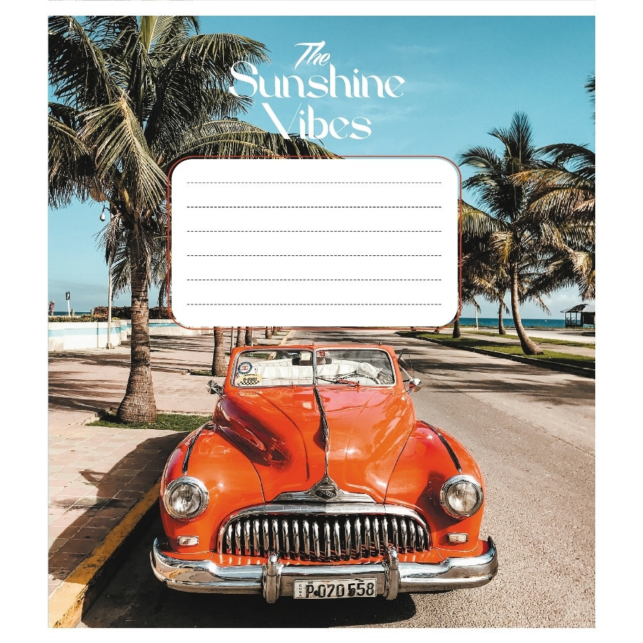 Тетрадь ученическая 