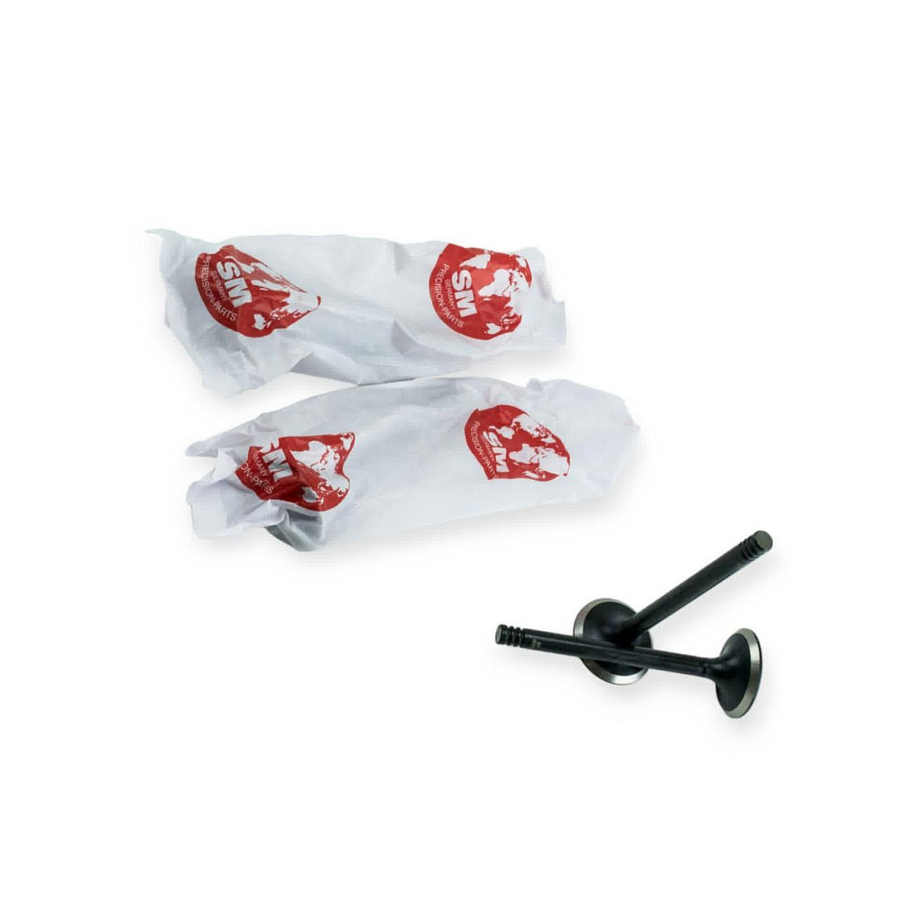 Клапана SM впуск (1,5) 2108 Мукачево - изображение 1