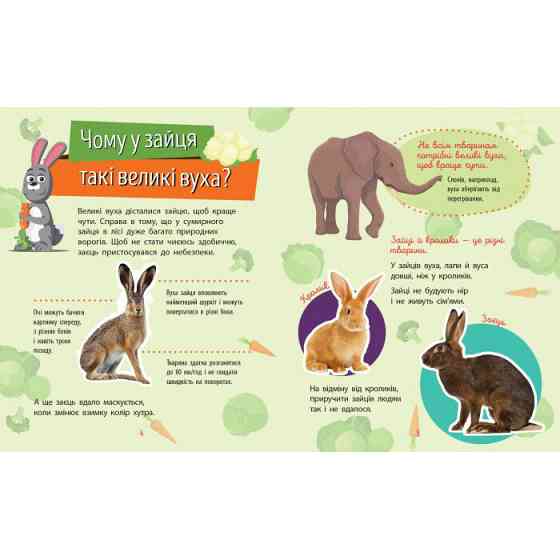 Обучающая книжка Почемучки 