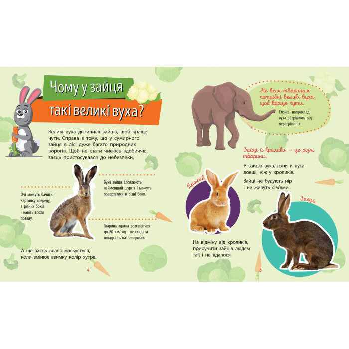 Обучающая книжка Почемучки 