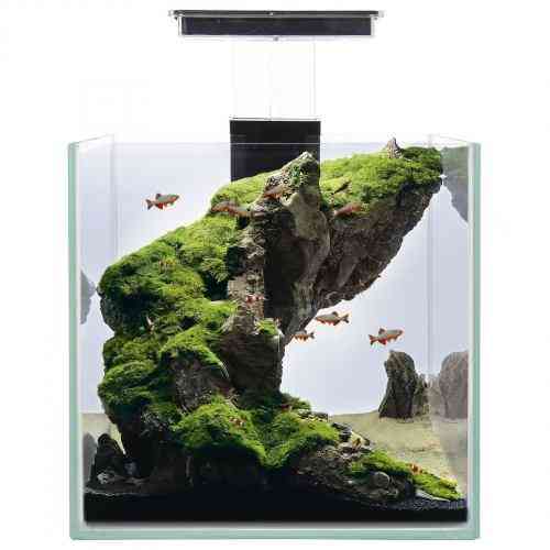 Аквариумный комплект Природа Мини-куб 22х22х22 см 9,5л Киев