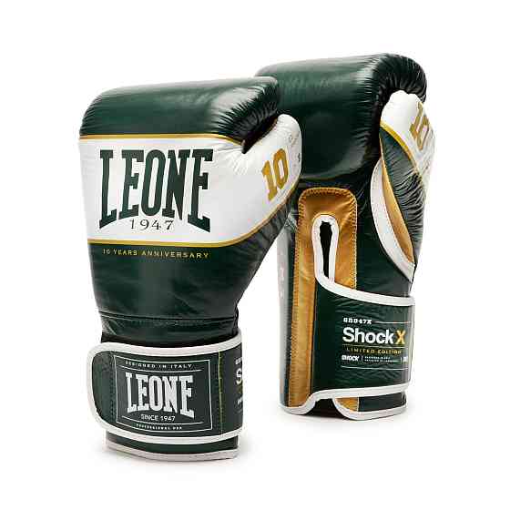 Боксерські рукавички Leone Shock X Green 10 ун. Каменское