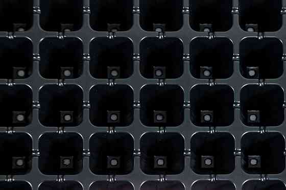 Касета для розсади 54*28 см 50 комірки Дніпро