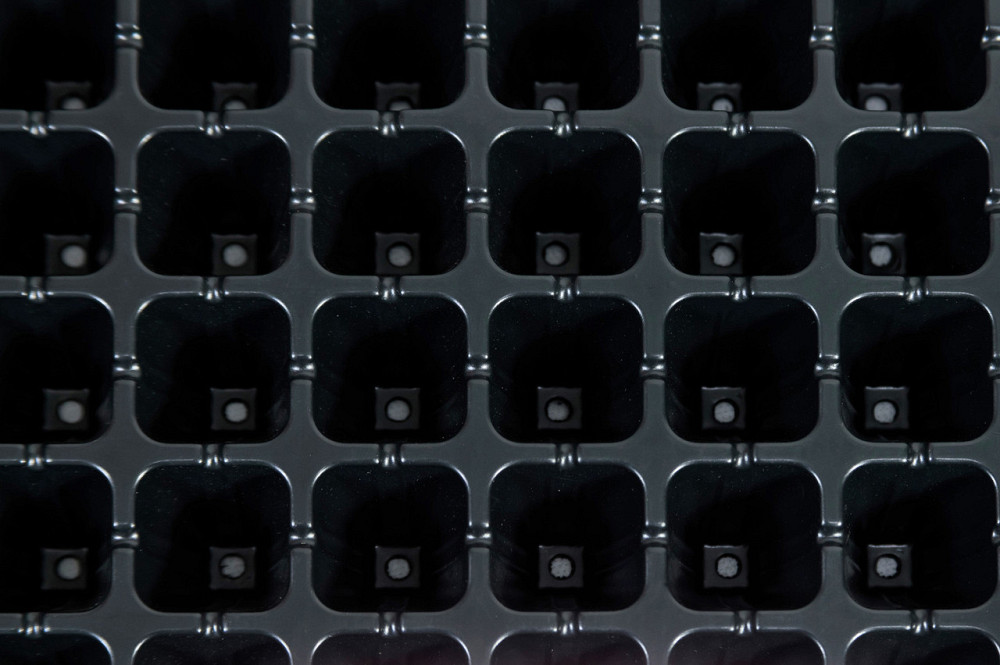 Касета для розсади 54*28 см 50 комірки Дніпро - фото 5