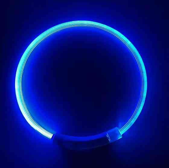 Светящийся ошейник для собак или котов с USB зарядкой имеет три режима свечения М 50 см синий Киев