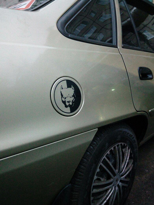 Наклейка на авто Пітбуль Чорна Київ - фото 2