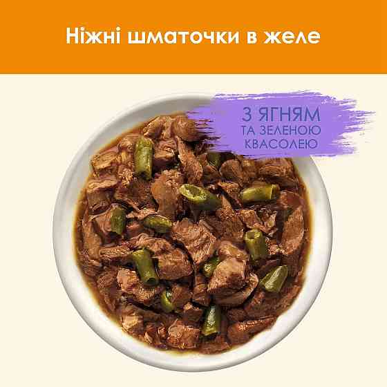 Вологий корм CAT CHOW Adult для дорослих котів, шматочки в желе, з ягням та зеленою квасолею, 85 г Київ