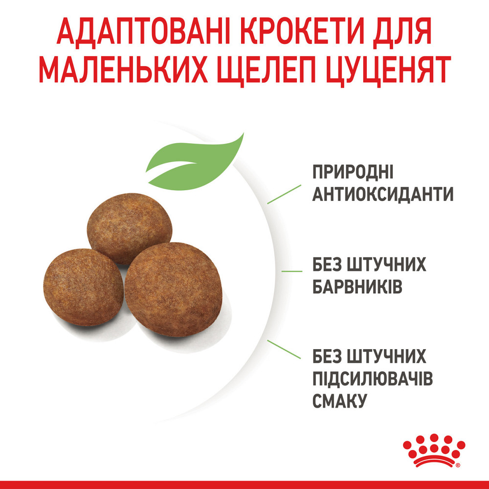 Корм для щенков больших пород собак ROYAL CANIN MAXI PUPPY 1.0 кг Киев - изображение 6
