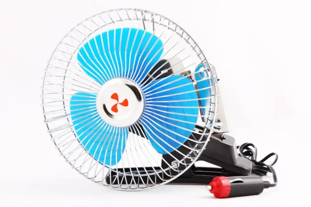 12 у шостому році на кліпі Lavata Вінниця - фото 1