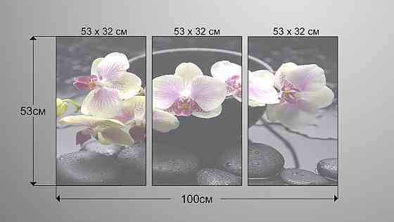 Модульная картина Цветы Орхидея Аrt-335_3А Киев