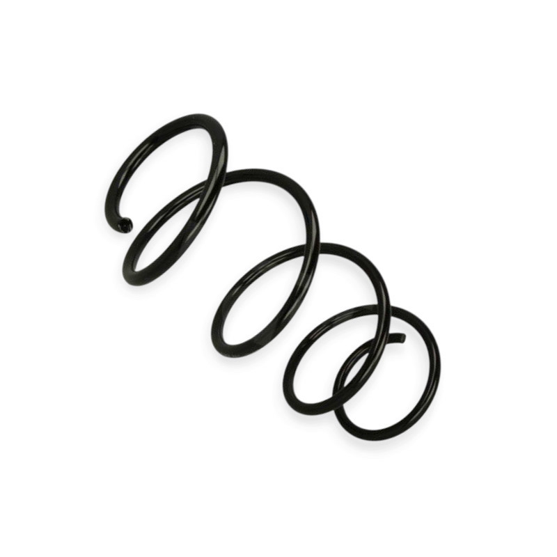 Пружина Renault Modus, Nissan Micra 1.2-1.6i, 1.5dCi 03- () передняя Мукачево - изображение 1