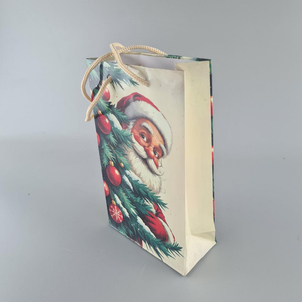 Пакеты новогодние ,бумажные ,подарочные , Малый 11/18/5 -003 (12 шт) Харьков - изображение 1