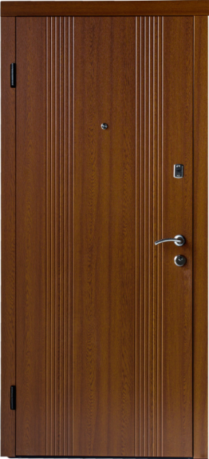 Дверь входная Наши Двери МЕГА Б-314  Дуб золотой 960х2040 мм Киев - изображение 1