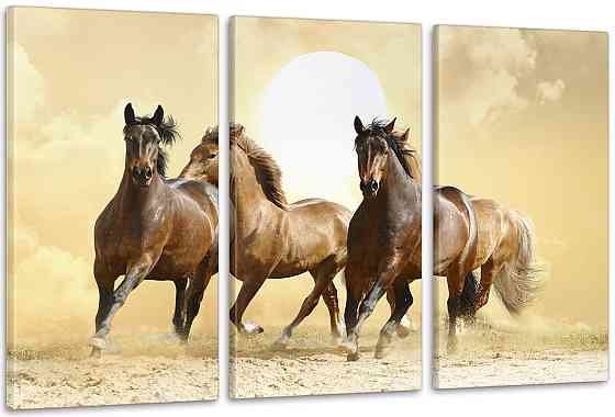 Модульная картина Лошади  Аrt-119_3А 70x130 см Киев
