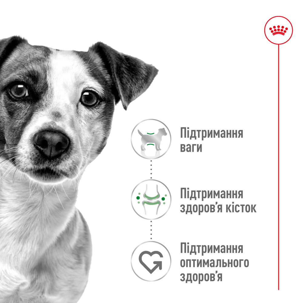 Корм для дорослих собак малих порід ROYAL CANIN MINI ADULT 2.0 кг Київ - фото 2