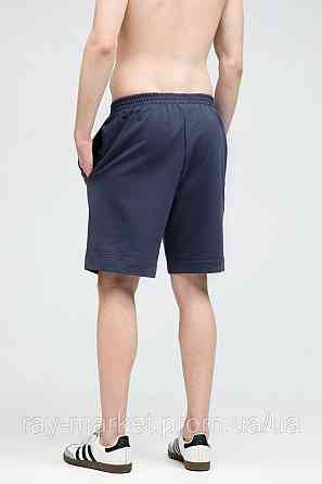 Шорти базові RAY BASIC темно-сірі чоловічі (U0701M-Dark Grey) L Київ