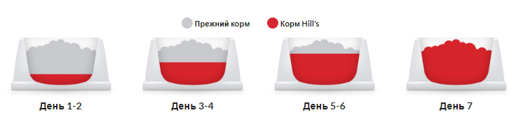 Hills Science Plan Feline Mature Adult 7+ Chicken (Хиллс СП Филайн Матюр Эдалт для котов старше 7 лет Курица) 10 кг Запорожье - изображение 8