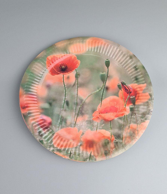 Тарілка паперова 23 см "No60 10 шт (1 пачка) Харків - фото 1