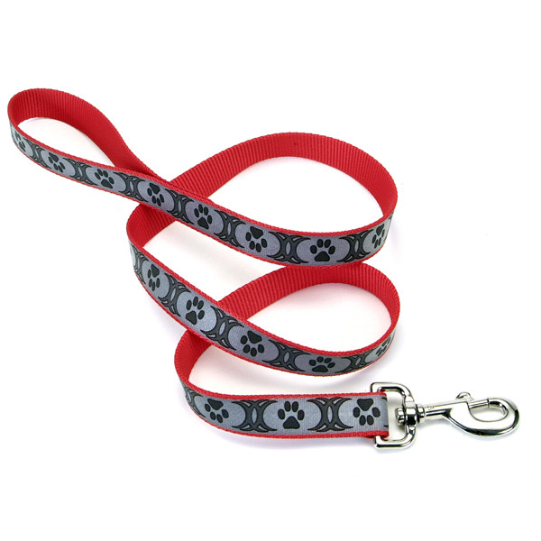 Coastal Lazer Brite Reflective Leash КОСТАЛ ЛАЗЕР БРАЙТ светоотражающий поводок для собак, 2.5смХ1.8м Киев - изображение 1