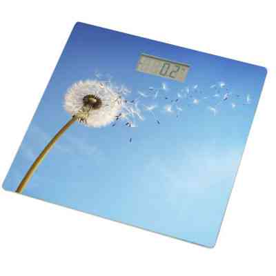 Весы напольные Grunhelm BES-BLB Винница