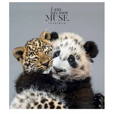 Тетрадь Школярик Main portrait 96 листов клетка (096-3476K) Винница - изображение 4