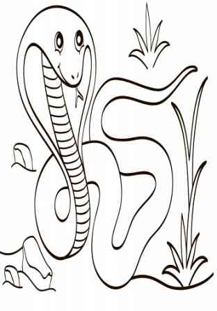 Детская водная раскраска : Экзотические животные 734012, 8 страниц Винница