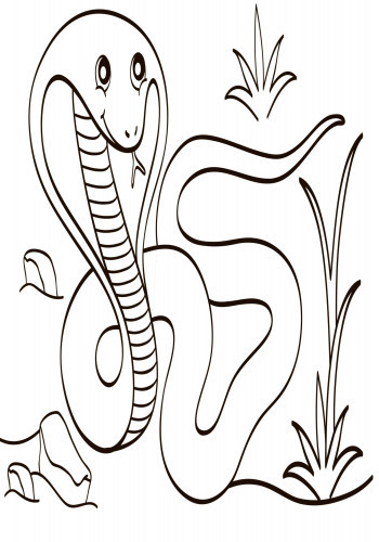 Дитяча водна розмальовка: Екзотичні тварини 734012, 8 сторінок Вінниця - фото 4