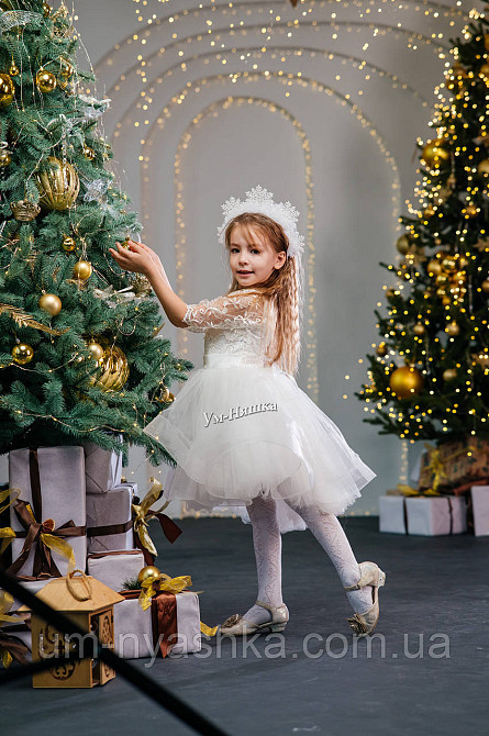 Святкова пишна сукня на ріст 104-116 Кривий Ріг - фото 4