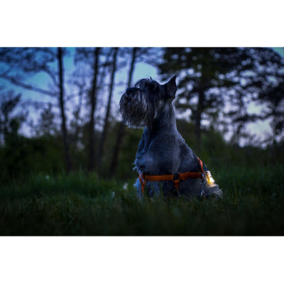 Ліхтар Armytek Zippy Extended Set Green (F06101GR) Вінниця - фото 5