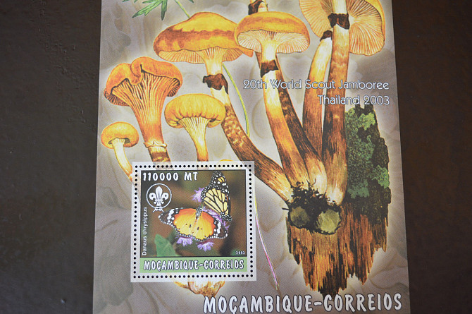 Марки. Флора. Блок. 2010 рік (А-31) Полтава - изображение 1