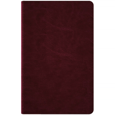 Еженедельник Axent датированный 2026 Partner City Soft 125х195, коричневый (8521-26-05-A) Винница - изображение 4