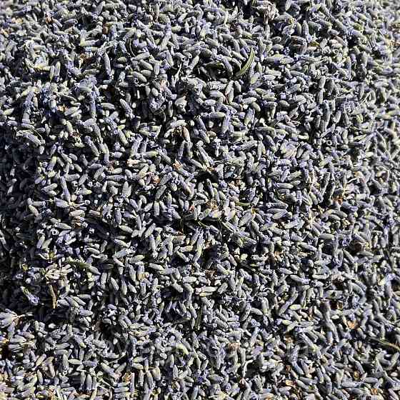 Суцвіття органічної лаванди 100 г Ірпінь