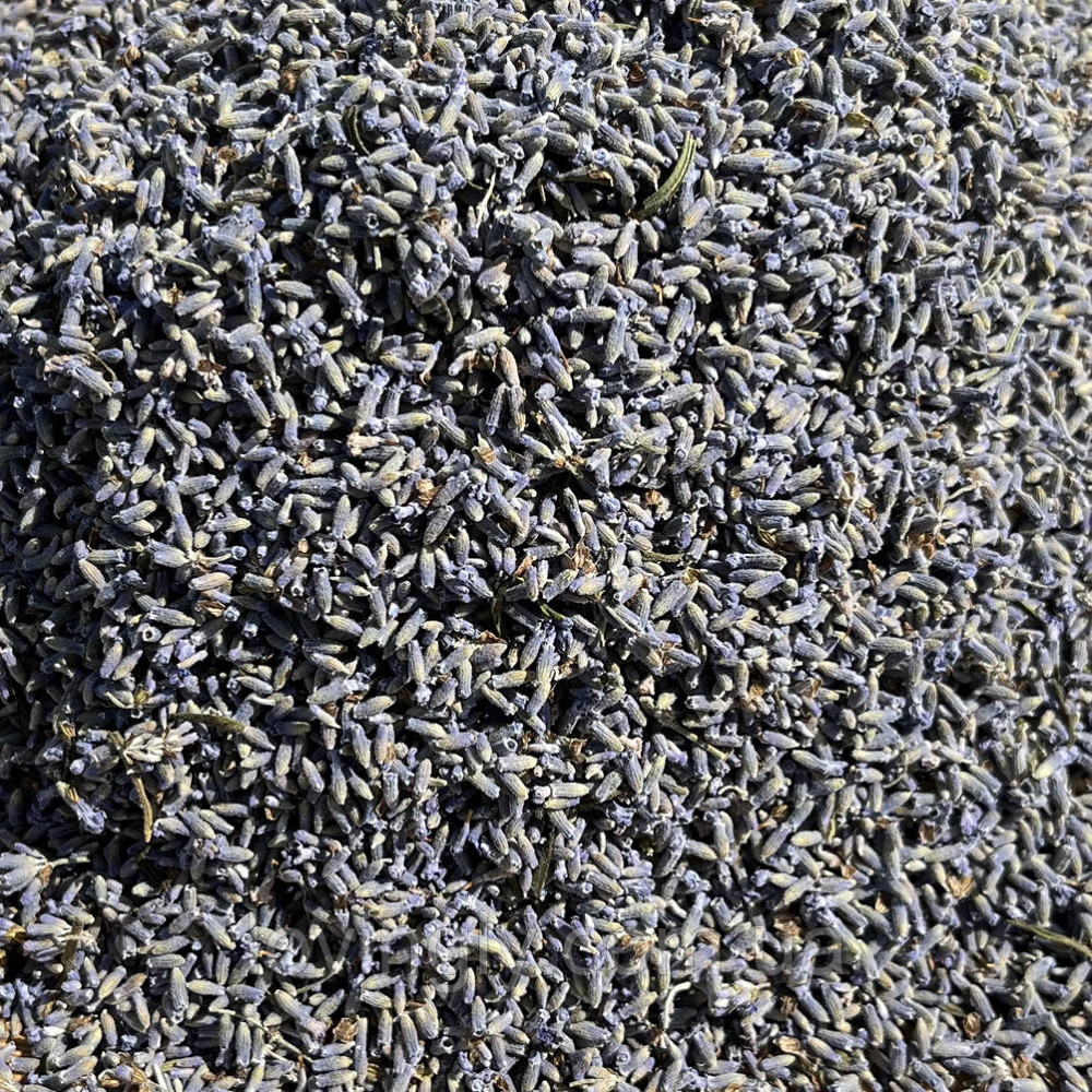 Соцветие органической лаванды 100 г Ирпень - изображение 2