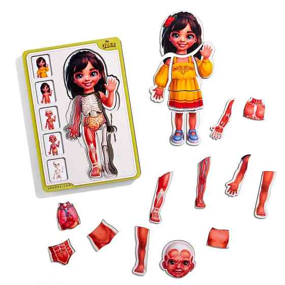 Дерев'яний пазл-вкладиш "Анатомія людини - дівчинка-2" (ПСД263) PSD263 будова тіла Вінниця