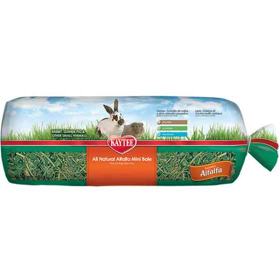 Kaytee ЛЮЦЕРНА СІНО (ALFALFA HAY) корм для гризунів до 1 року Київ