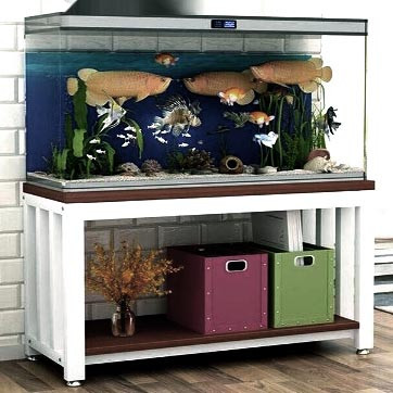 Тумба для аквариума 