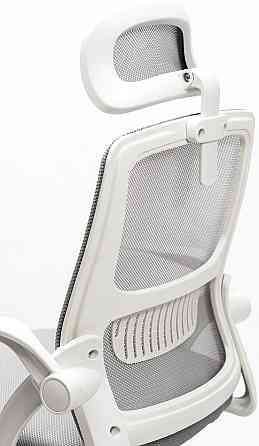 Кресло офисное Diego ErgoFlex сетка бело-серое Киев