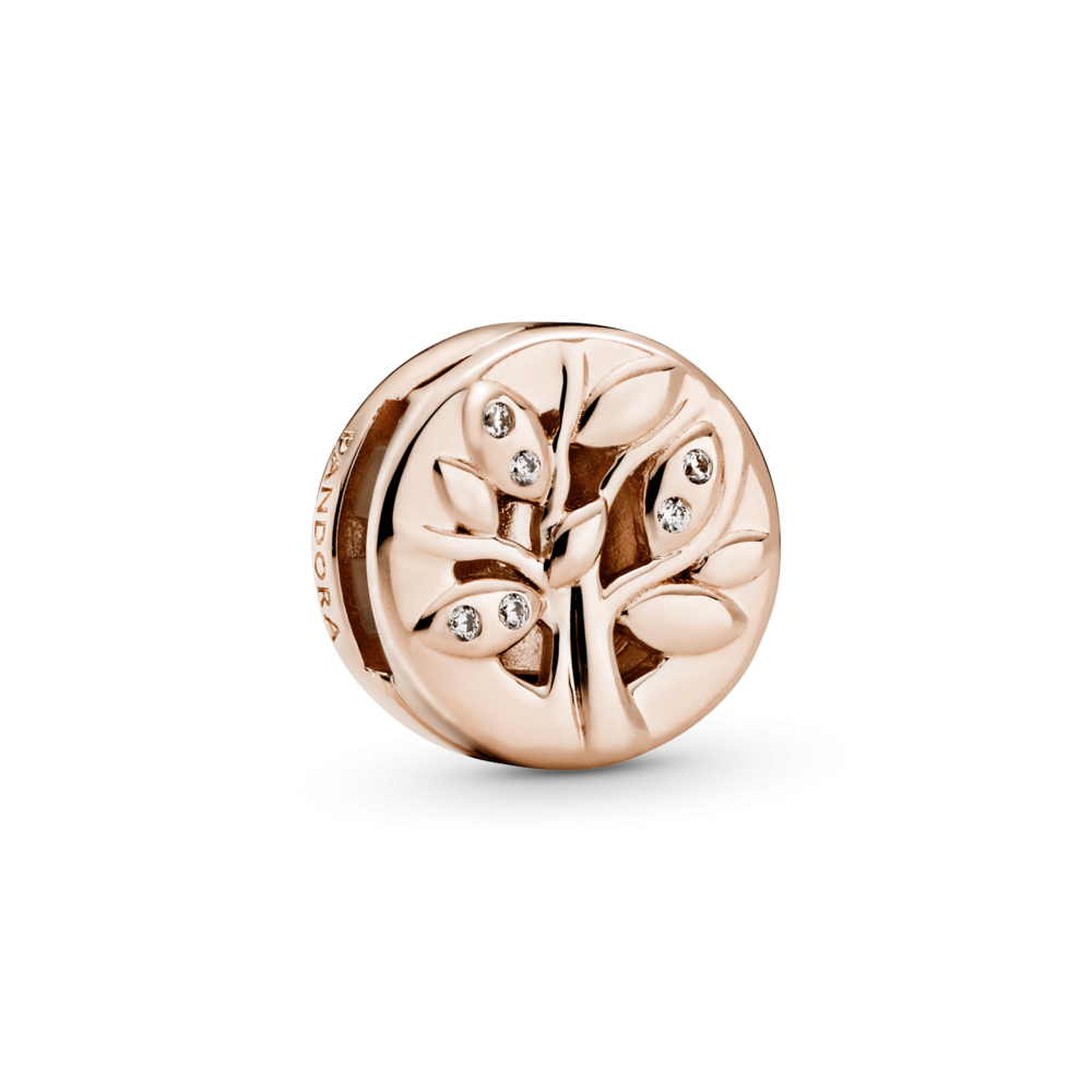 Серебряный шарм Пандора    