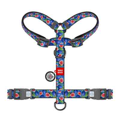 Шлея для собак WAUDOG Nylon анатомічна H-подібна з QR-паспортом "Інжир" пластиковий фастекс, M (344-4053) Вінниця