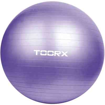 Мяч для фитнеса Toorx Gym Ball 75 cm Purple (AHF-013) (929488) Винница