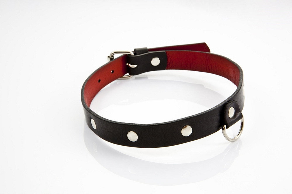 Ошейник - Whips Collection Collar For Her Sex Aura Киев - изображение 4
