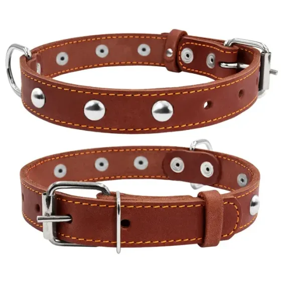 Ошейник CoLLaR одинарный с украшениями (ширина 35мм, длина 48-63см) коричневый Киев