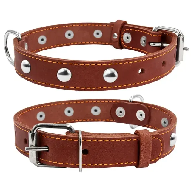 Ошейник CoLLaR одинарный с украшениями (ширина 35мм, длина 48-63см) коричневый Киев - изображение 2