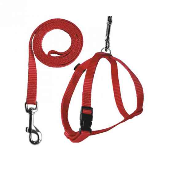 732 Комплект "НЕЙЛОН" для дрібних порід Вінниця