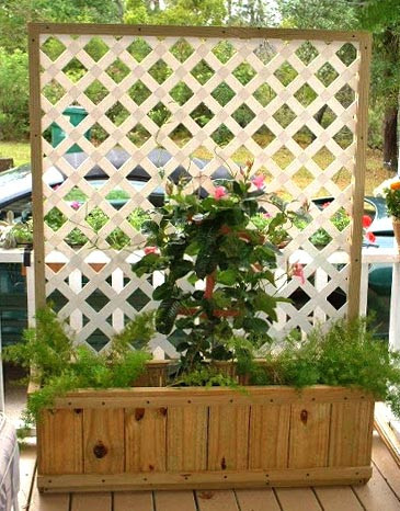 Кашпо со шпалерой 