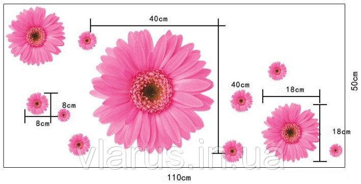 Наклейка декоративная на стены Розовые герберы Киев - изображение 3