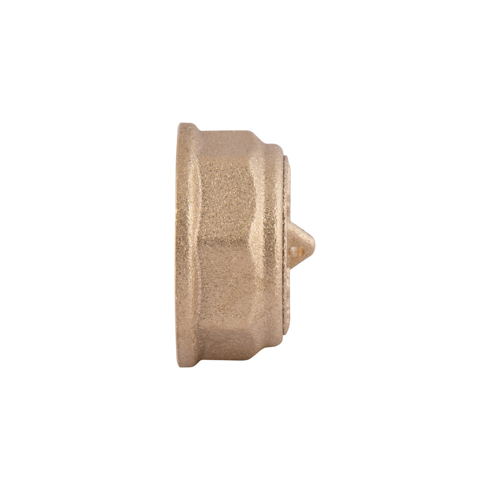 Заглушка Thermo Alliance Standart 3/4" ВР SD40220 Київ - фото 7